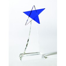 Blue Star Award B5410