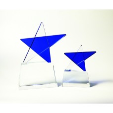 Blue Star Award B5534